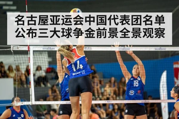 volleyball match